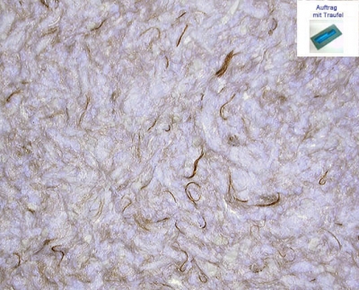 Harmonie        braun