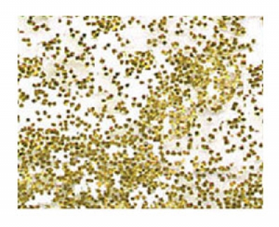 Glimmer 900-51  gold-grob