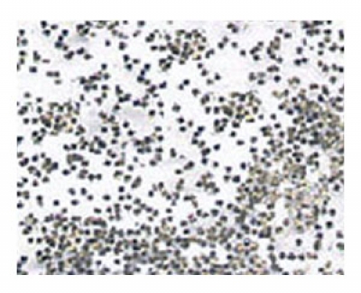 Glimmer 900-52  silber-grob