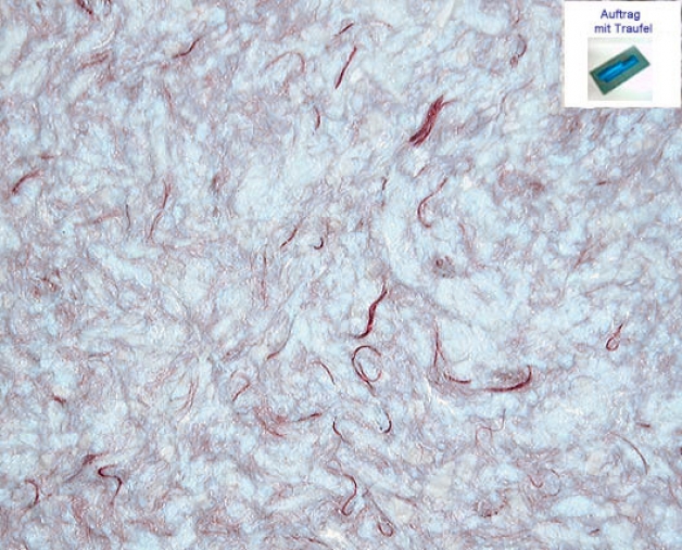 Harmonie bordeaux hell