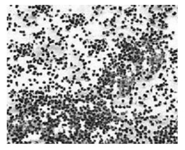 Effekt 900-55  Basalt